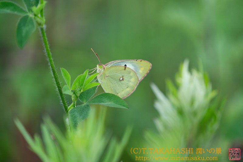 ../Images/7R240804 (208).jpg